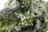 Lustrous Epidote Crystals with Actinolite - Pakistan #374636-1